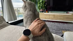 Why does a cat turn its rear end toward its owner's face? An expert's view on behavior