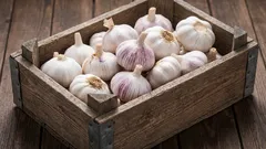I store garlic for years. It doesn't dry out or rot. Here's how I do it, my method for storing garlic.