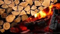 Which type of wood is the new leader among fuels? Fireplace owners praise them for being inexpensive.