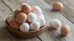 An alternative to eggs: protein without chickens or cholesterol