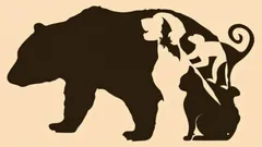 This picture test will help you determine which traits dominate in you and what hinders you in communicating with others.